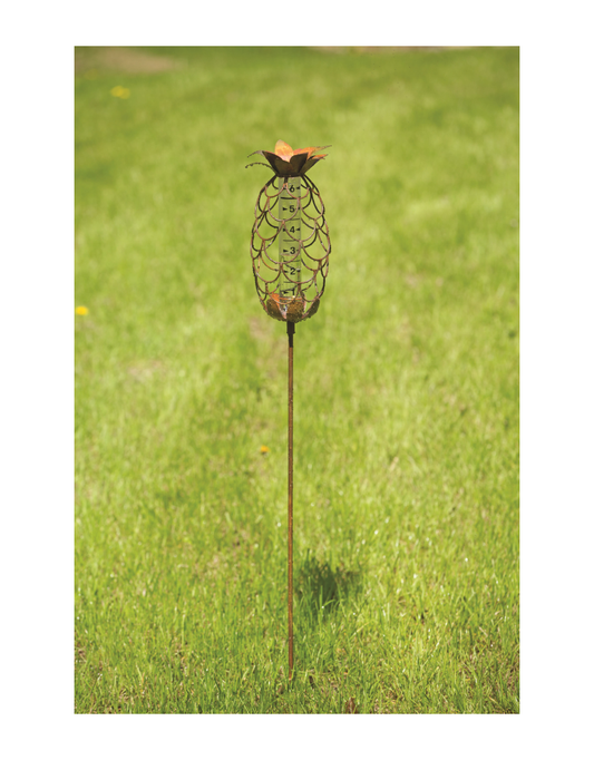 Rain Gauge - Pineapple