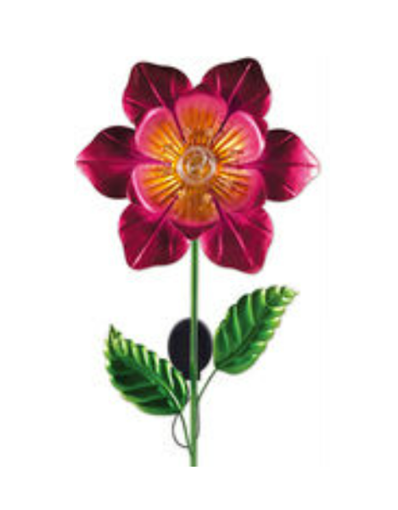 Solar Pink Coil Flower
