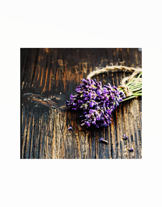 Soy-Blend Wax Melt - Lavender